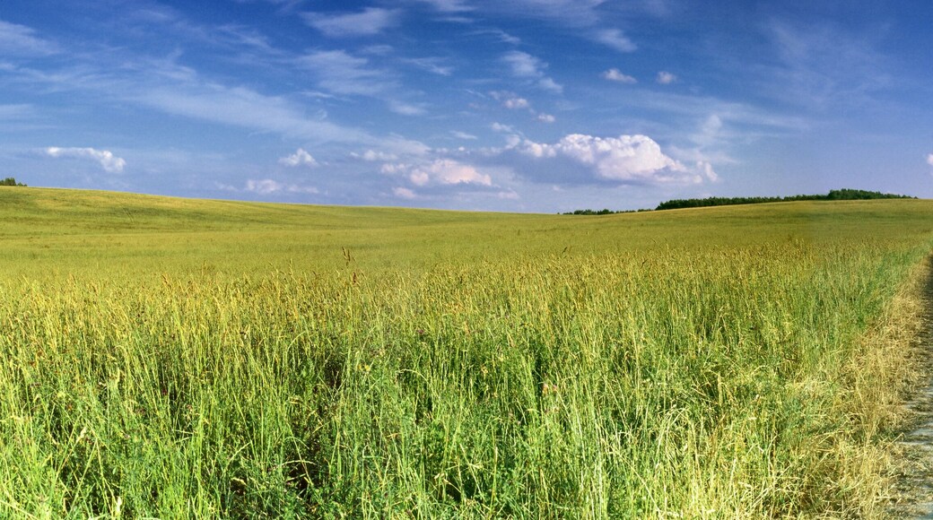 District de Yurgamyshsky