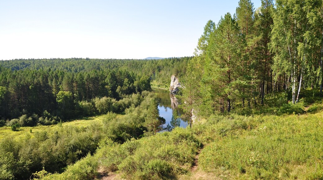 District de Nizhneserginsky