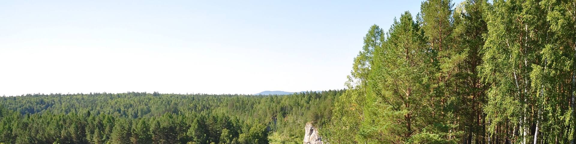 Beautiful nature green trees and a river in the distance. Olenyi Ruchy is a natural park in the Sverdlovsk Region on the territory of the Nizhneserginsky Municipal District