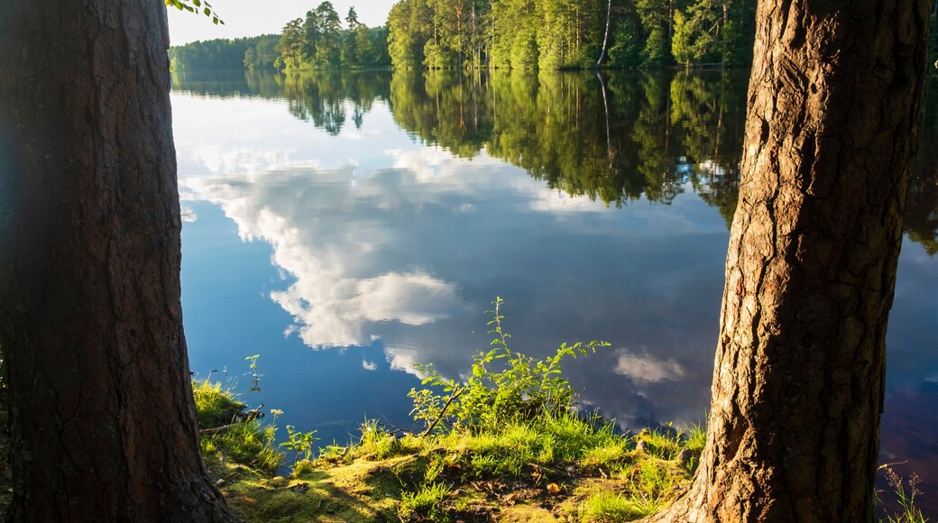 District de Shchuchansky