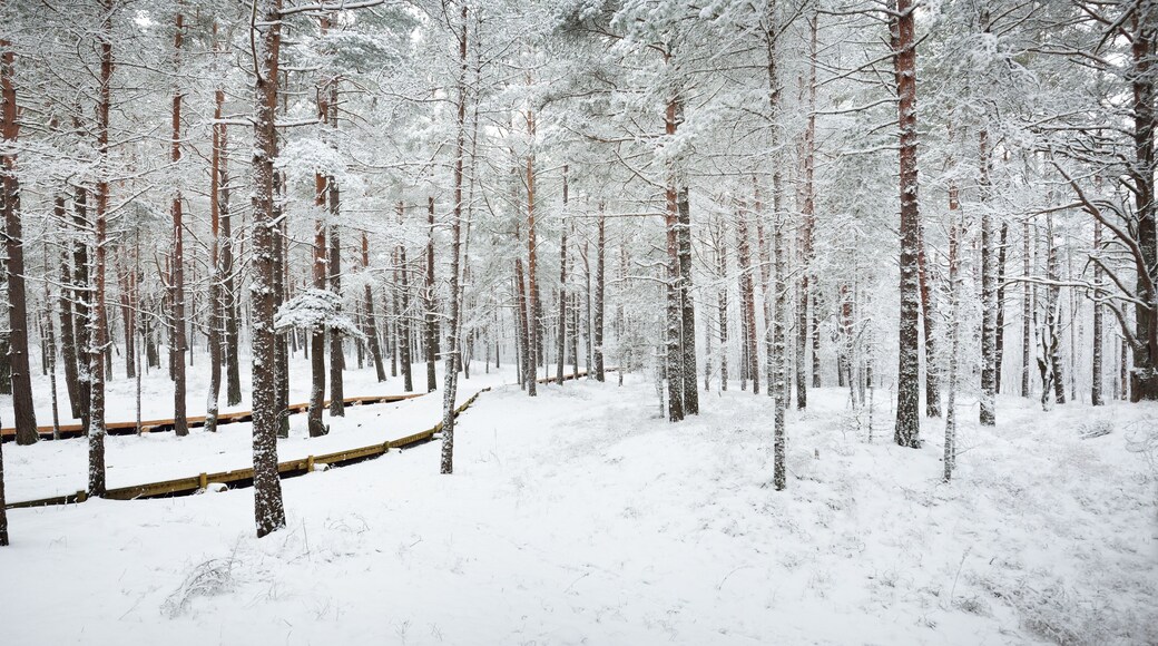 District de Safakoulévo