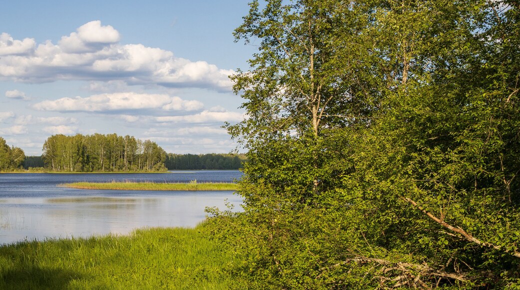 District de Yurginsky