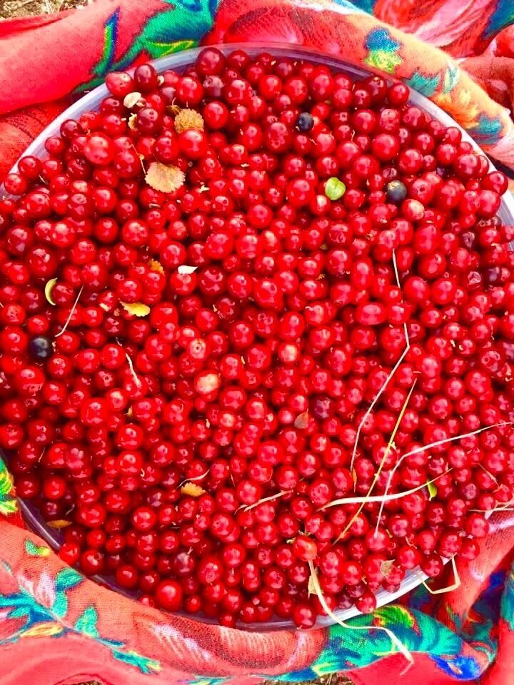 ナドゥイム地区