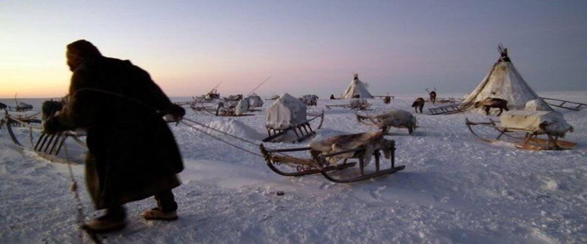 An encampment of nomadic #Nenets #reindeer herders on the #Yamal Peninsula in #Arctic #Siberia