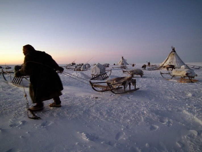 An encampment of nomadic #Nenets #reindeer herders on the #Yamal Peninsula in #Arctic #Siberia