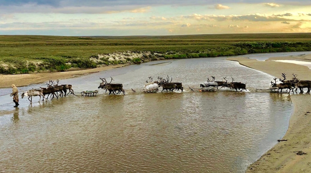 RaĂŻon de Yamalsky