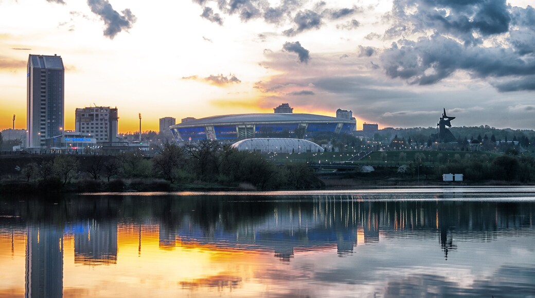 Distrito de Tselinsky