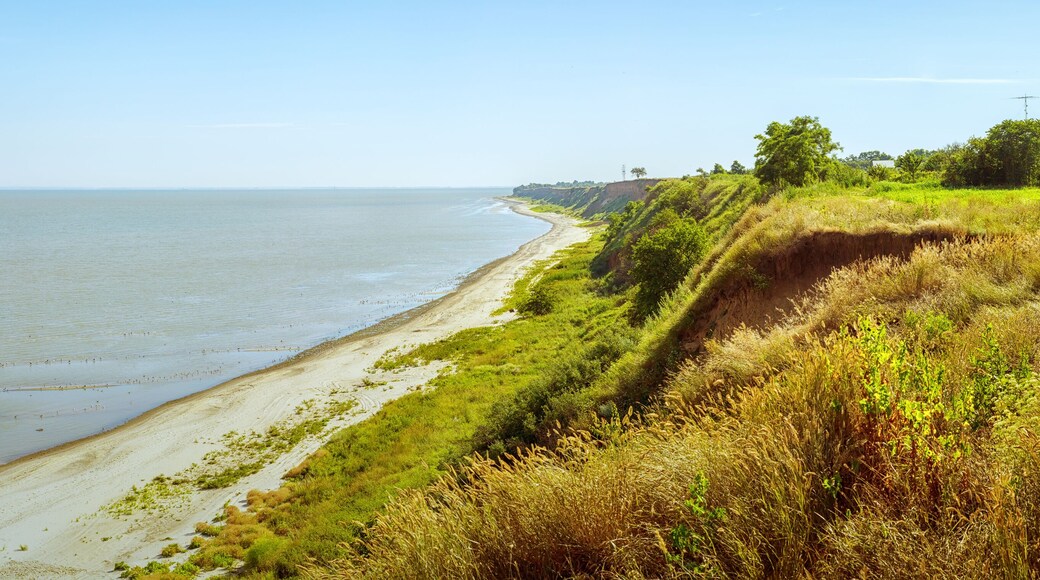 District de Beloglinsky