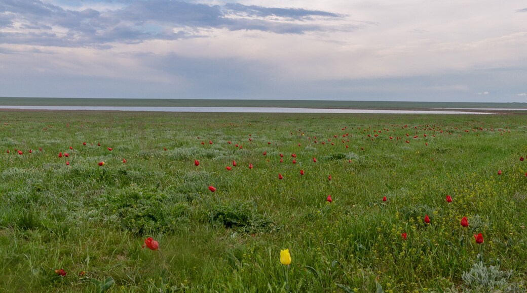 District de Novopokrovskiy