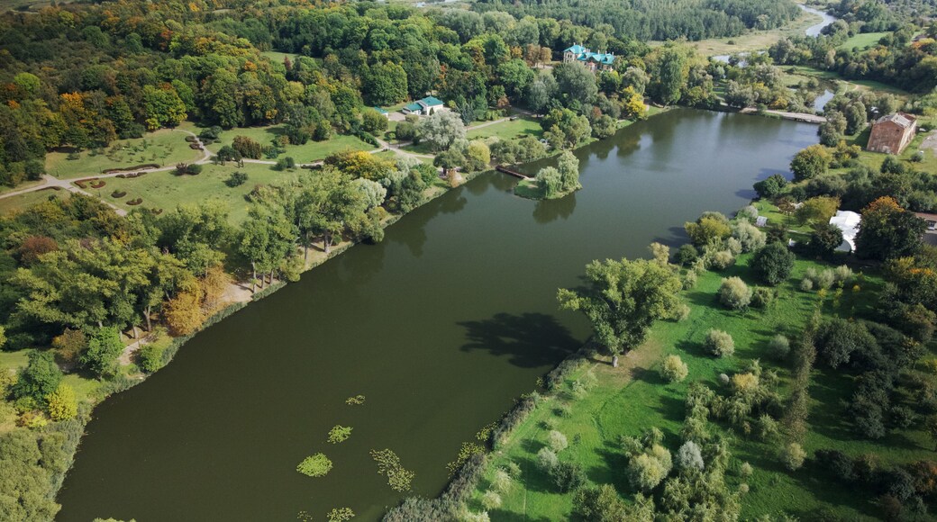 District de Tarasovsky