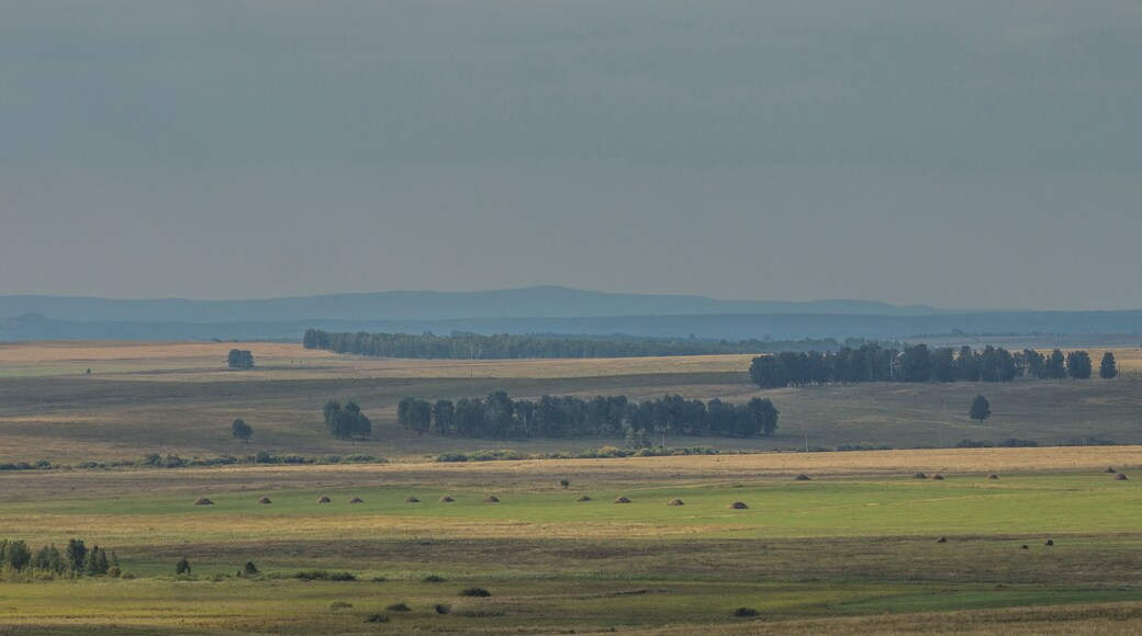 District de Tselinny