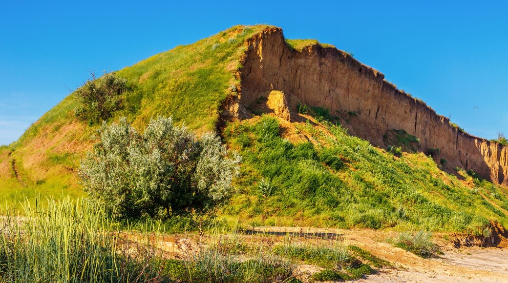 District de Neklinovsky