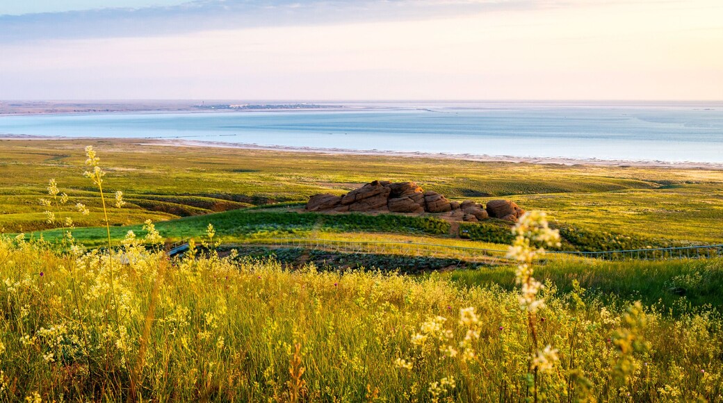 District de Yenotayevsky