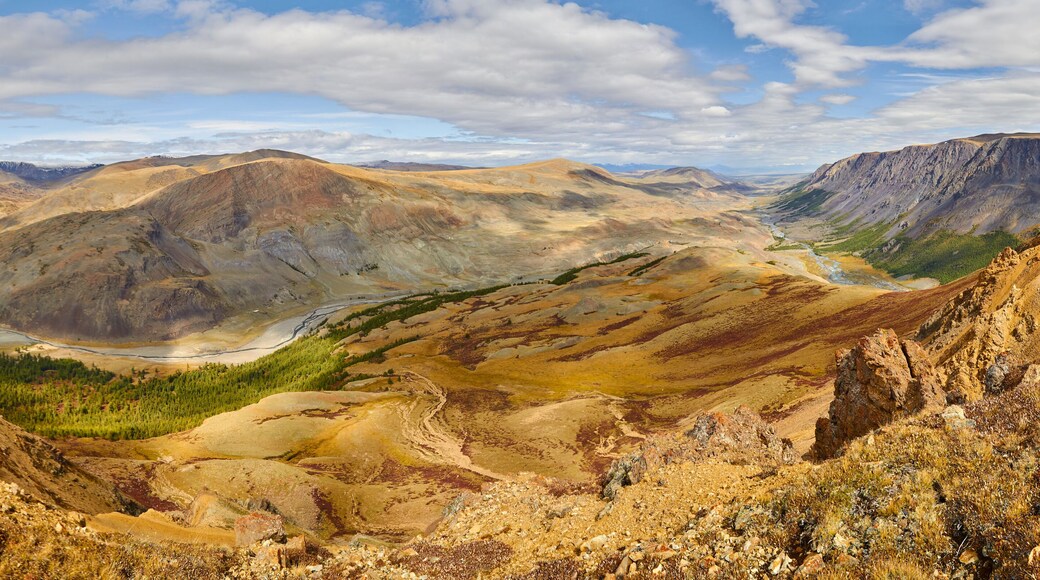 District de Yeltsovsky