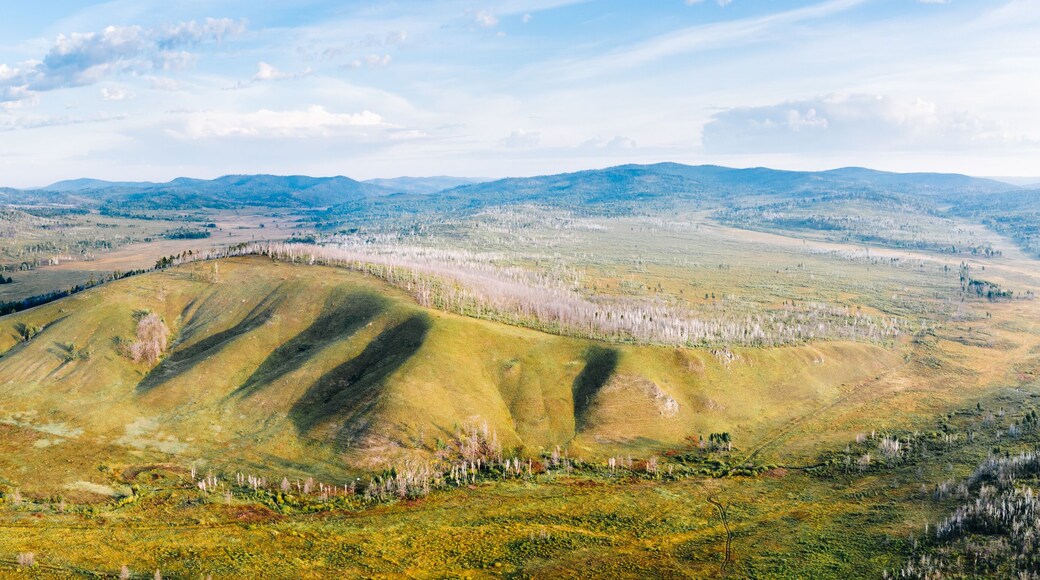 Panorama of siberian taiga in Zabaykalsky Krai, Russia with hills, swamps, and trees, high angle aerial view. Wild nature landscape in Far East, Asia