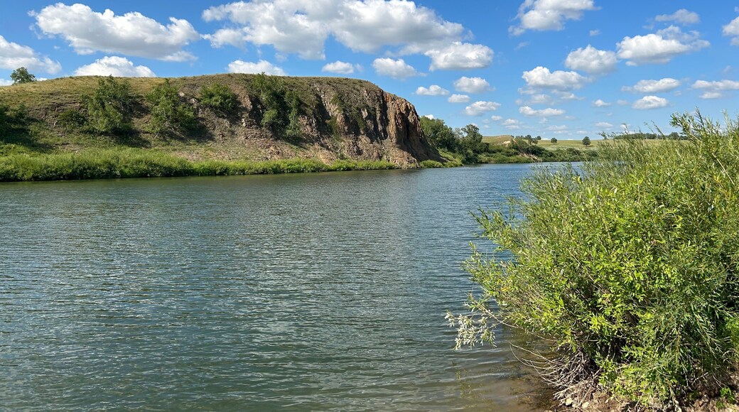 District de Tyukalinsk