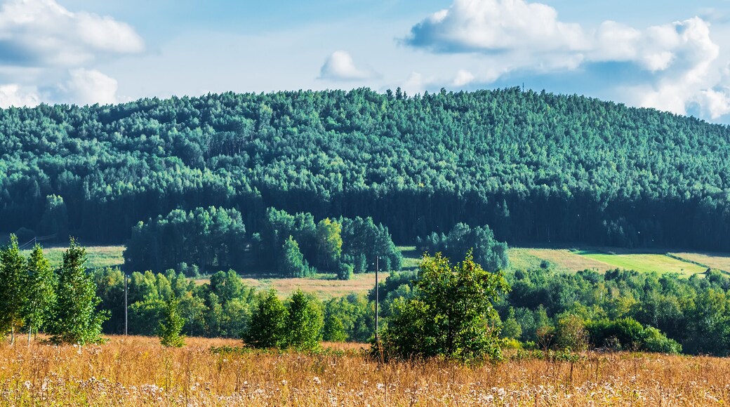 Bugotak hills. Siberia, Russia