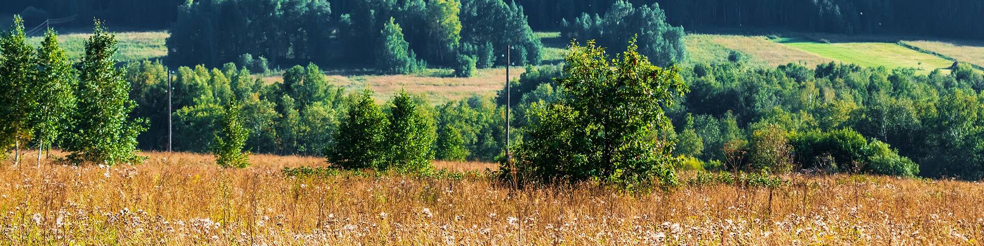 Bugotak hills. Siberia, Russia