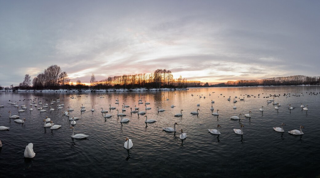 District de Sovetsky