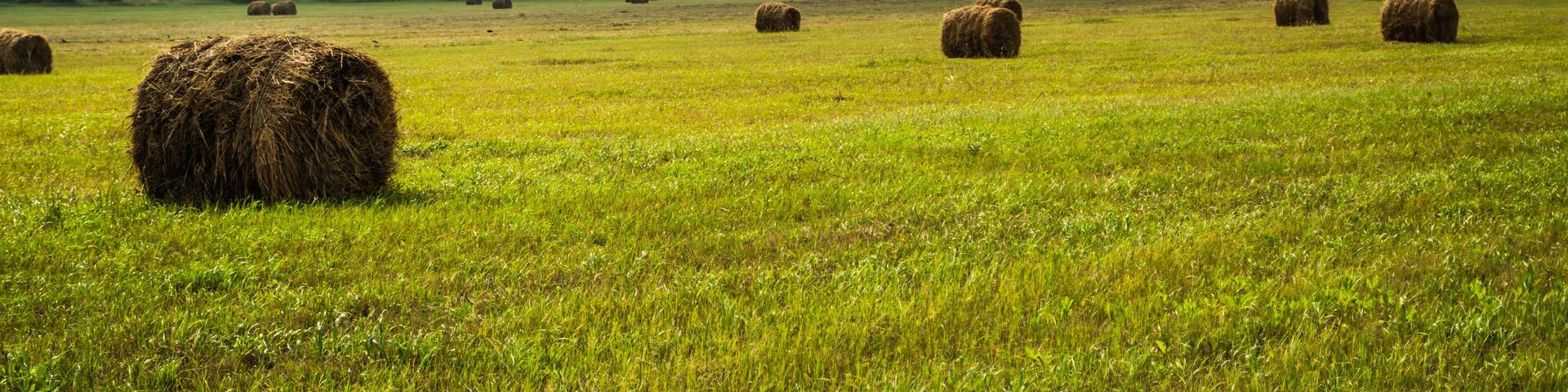 Haystack in field in front of sayan mountains during cloudy summer day