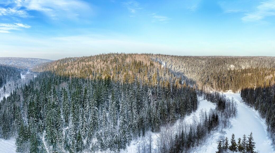 District de Kyshtovsky