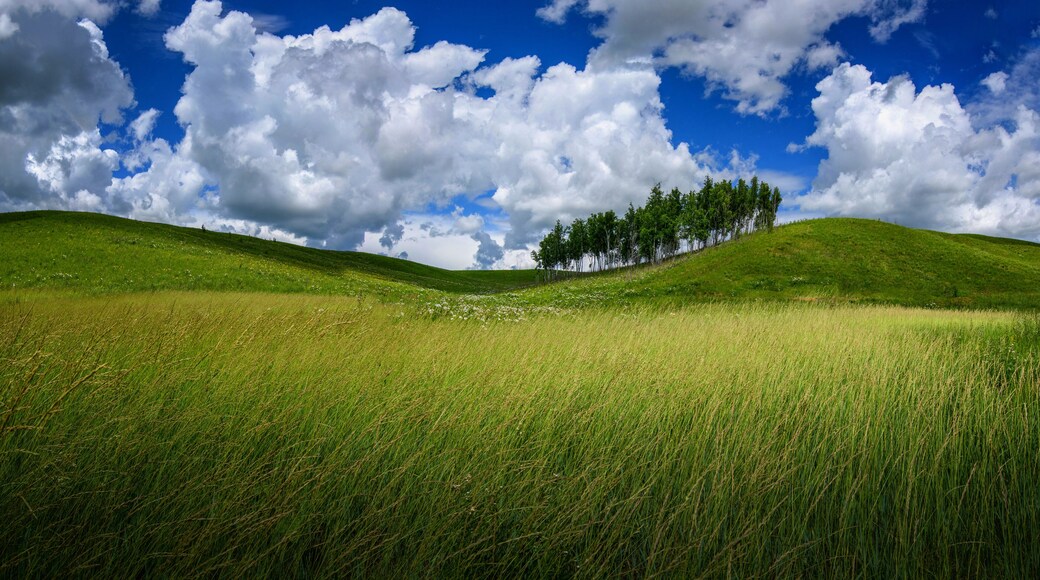 Rayon de Petrovsk-Zabaykalsky
