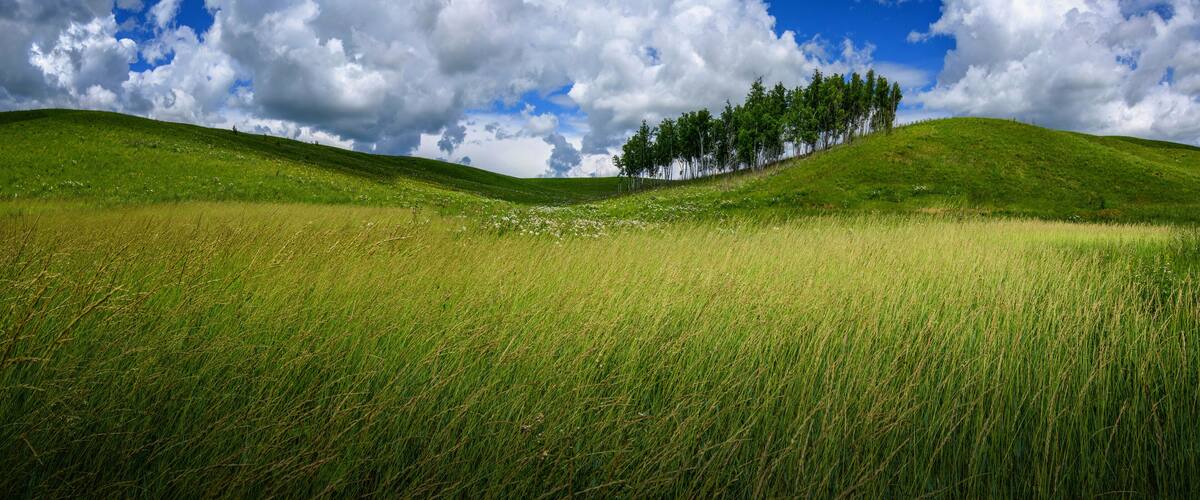 Siberia Russia, autumn haystacks in agricultural fields between Ulan Ude and Chita