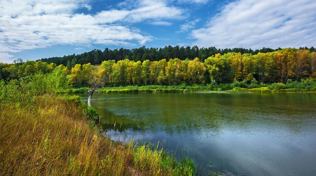 Autumn landscape on the river. Western Siberia