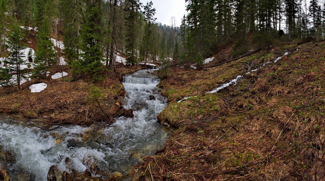 District de Molchanovsky