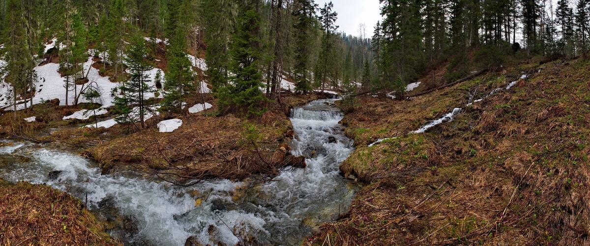 Russia. kuznetsk alatau. A tributary of the Tom river filled with meltwater.
