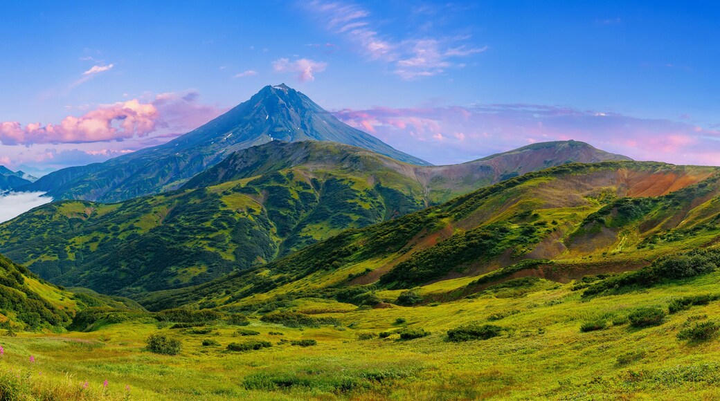 Beautiful summer panorama landscape Vilyuchinsky volcano Kamchatka with pink flowers and fog