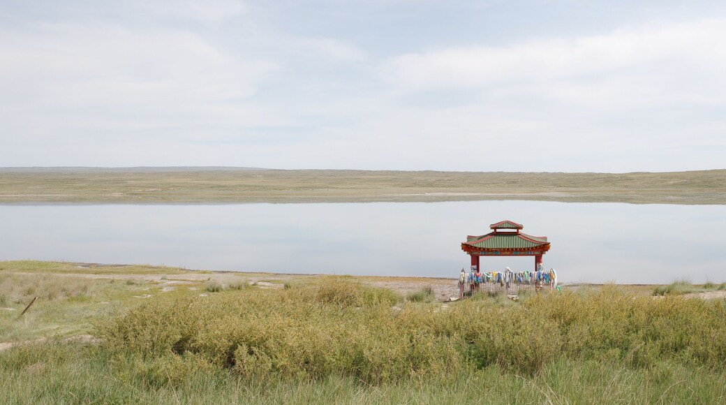 Kozhuun de Bay-Tayginsky