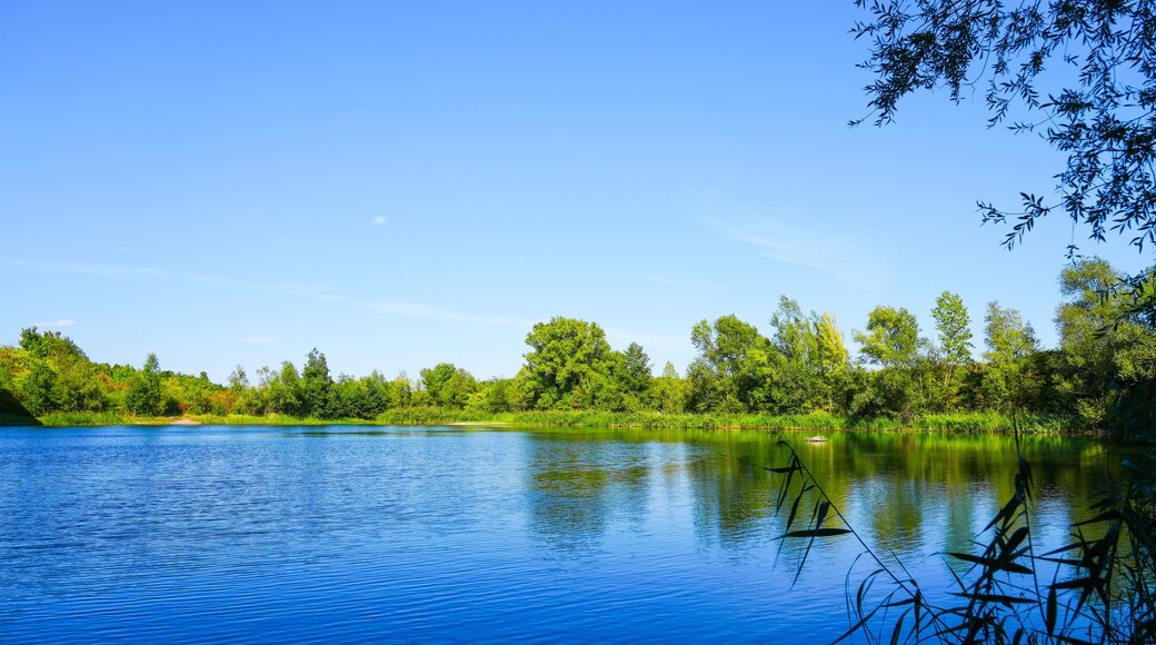Landscape at the Sarstedt Lake District near Sarstedt. Local recreation area with idyllic nature by the lake.