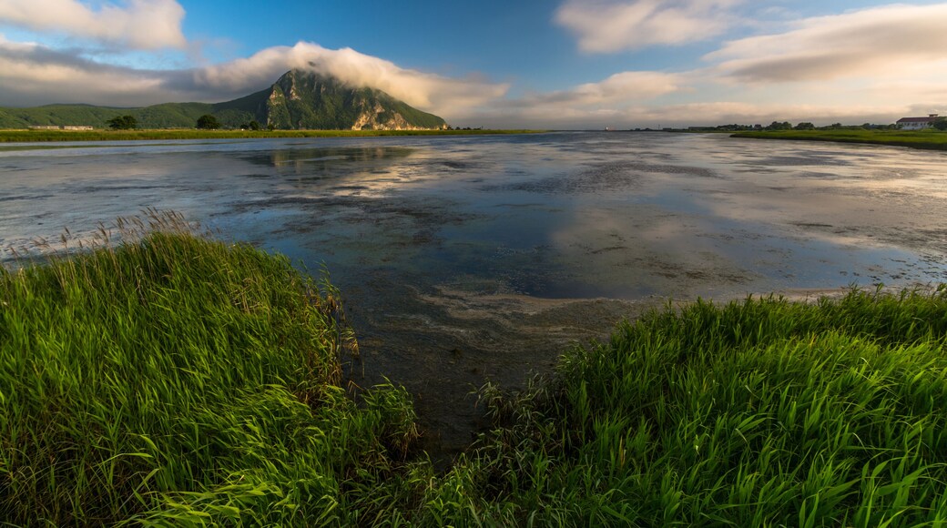 Distrito de Partizansky