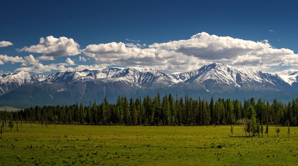 District de Tyumentsevsky