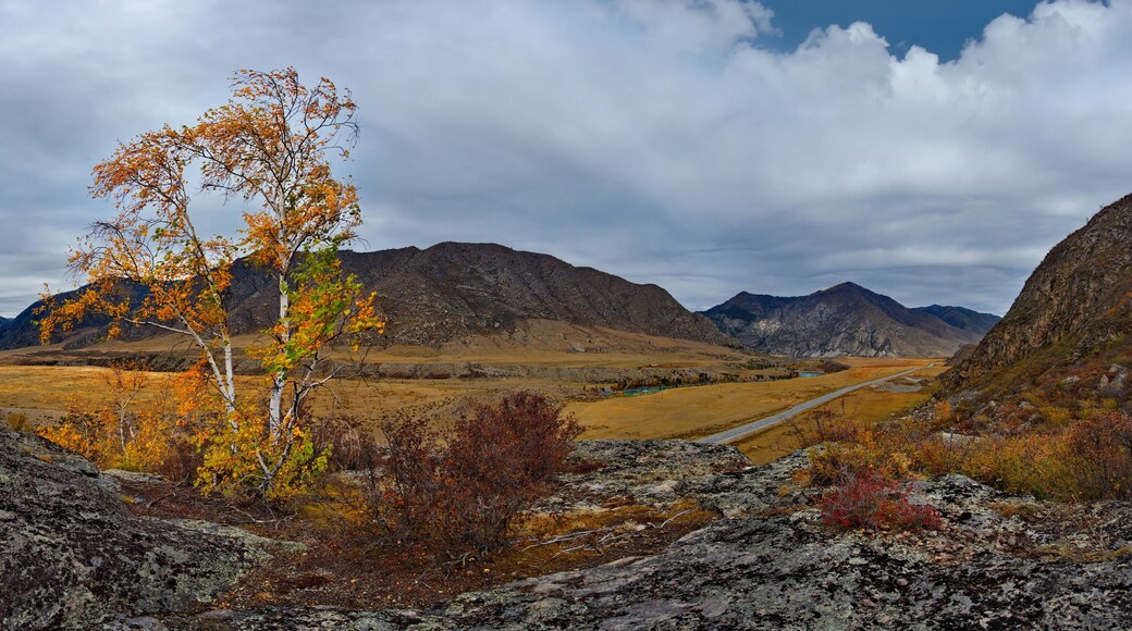 District de Mamsko-Chuysky