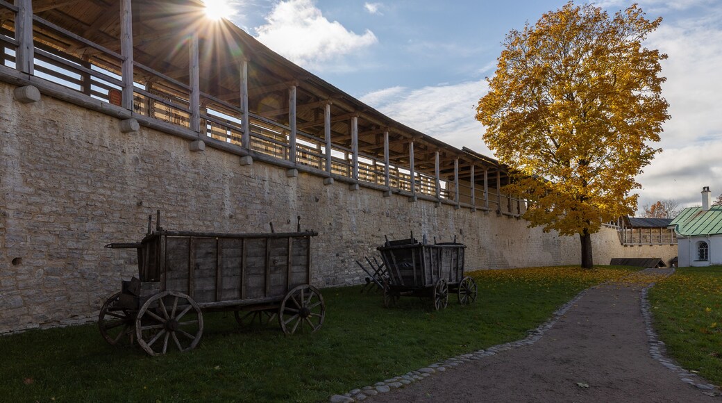 Distrito de Pechorsky