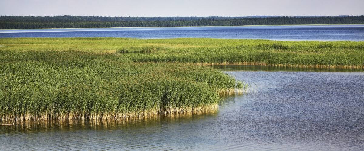 Lake Lyokshmozero at Morshchikhinskaya village. Kargopolsky District. Arkhangelsk Oblast. Russia