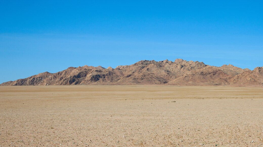 Gobi Desert