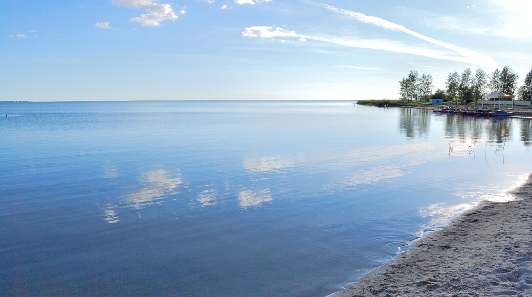 District de Kolyvansky