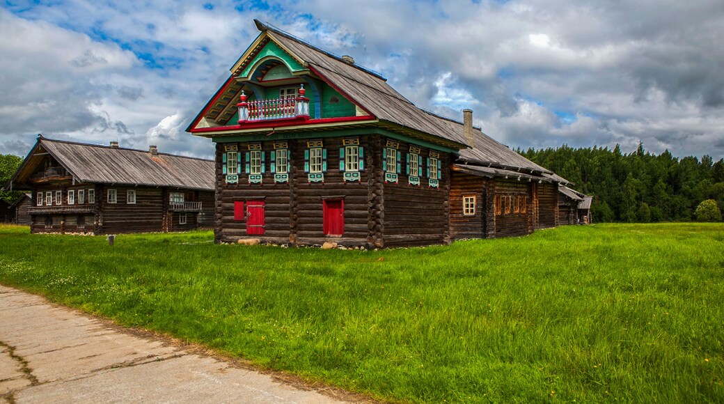 District de Syamzhensky