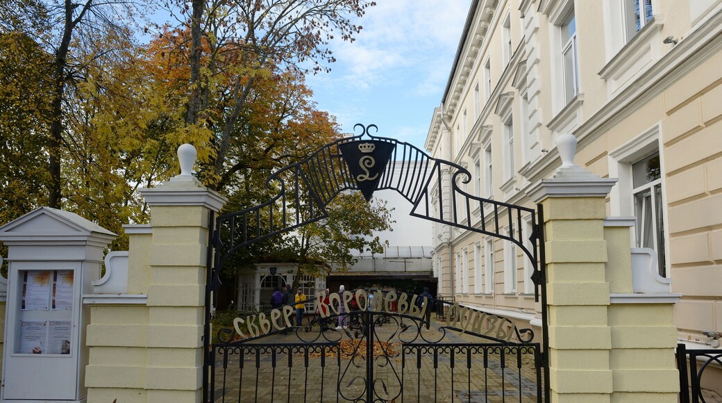 Distrito de Zelenogradsky