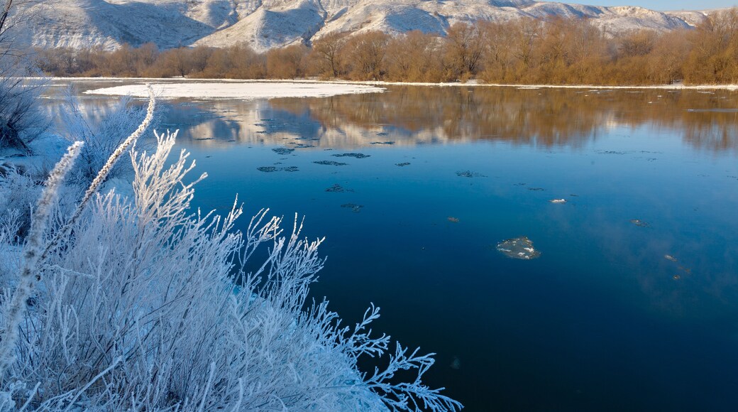 District de Kulinsky