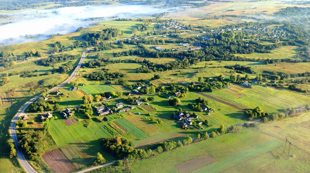 District de Nevelsky