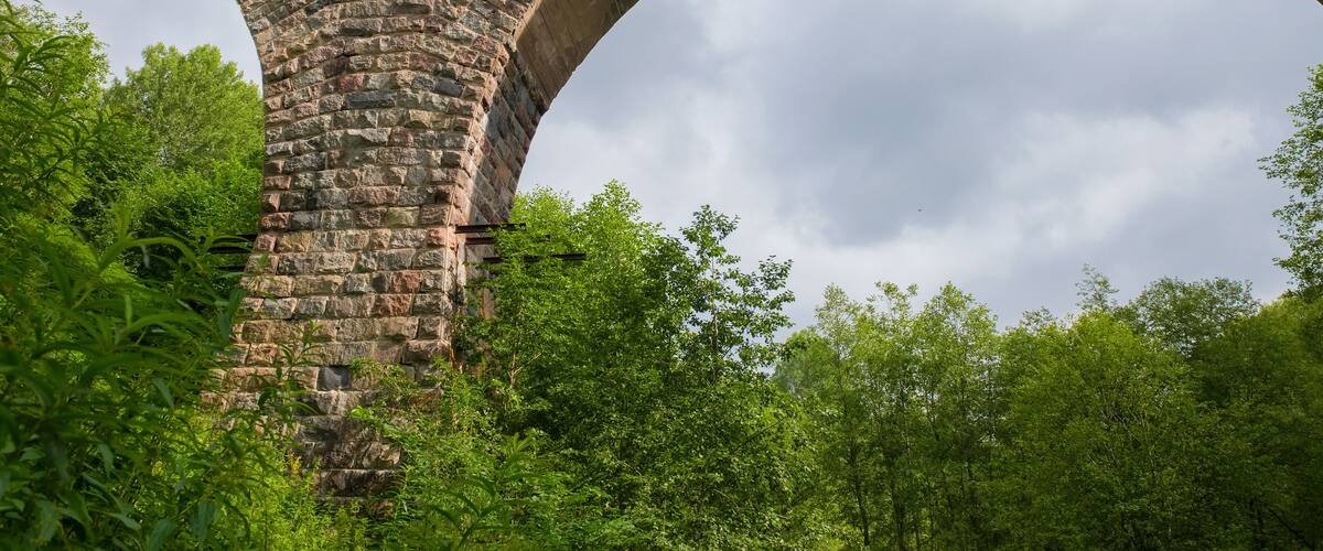 Viaduct across the river Yaryngya. Krestetsky District, Novgorod Region Russia