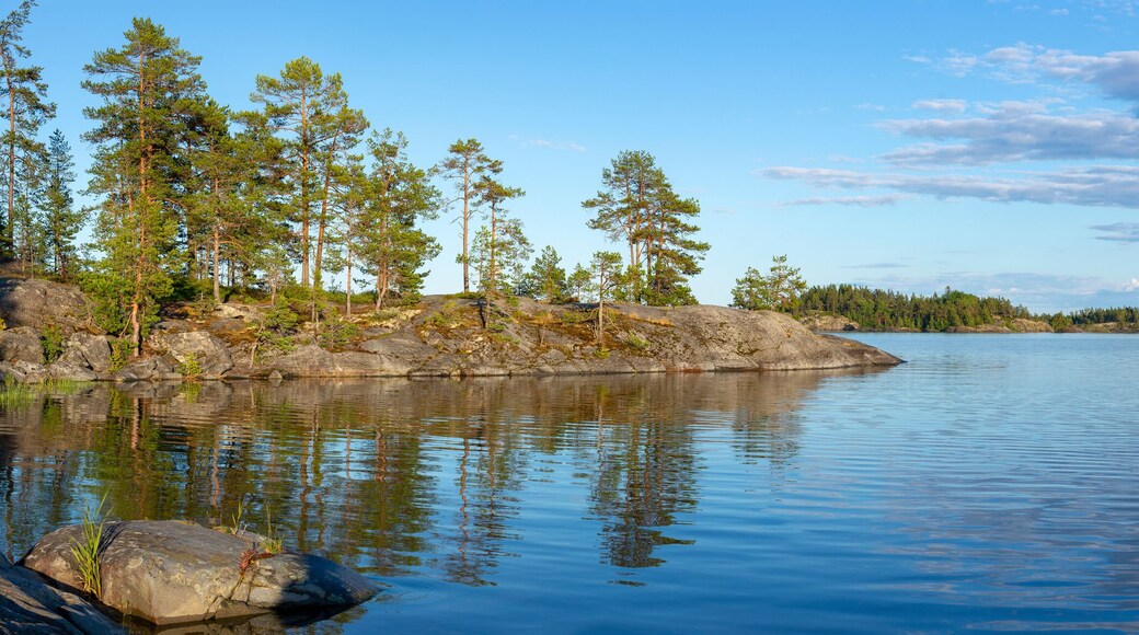 The shore of Lake Ladoga (stone skerries). Karelia, Russia