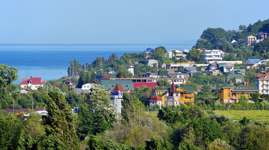 District de la ville de Svetlovsky