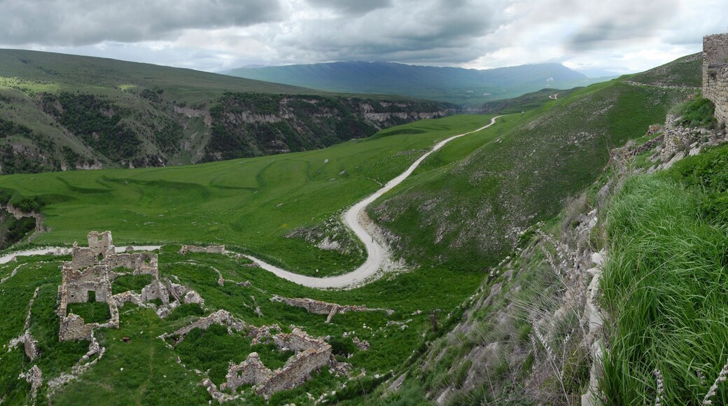 District de Sharoysky