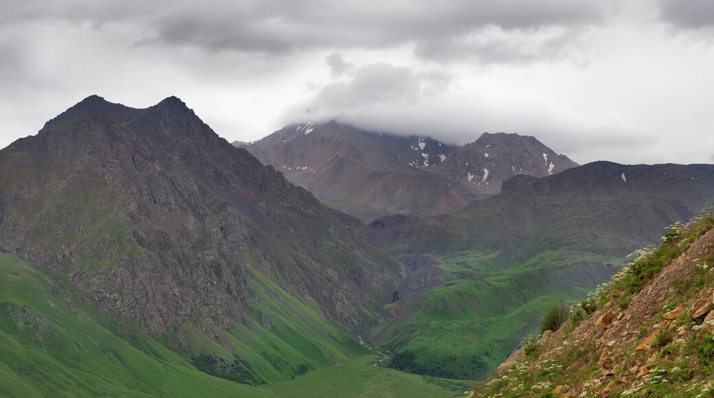 District de Sunzhensky