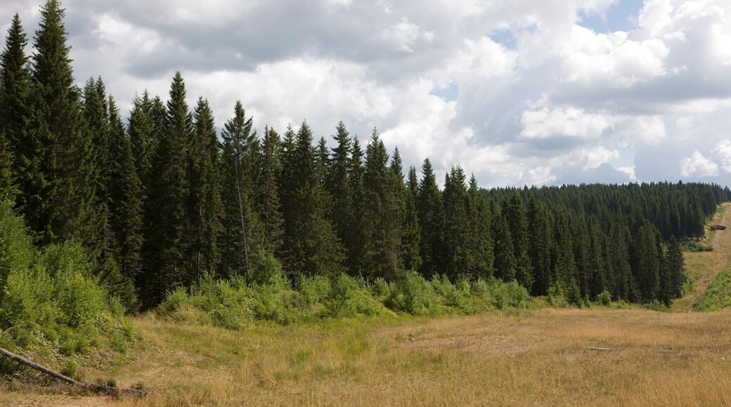 District de Gumbetovsky